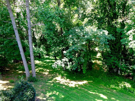 View from every window