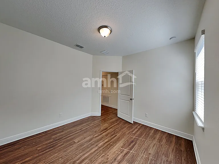 1306 Celery Palm Cv — Photo 20