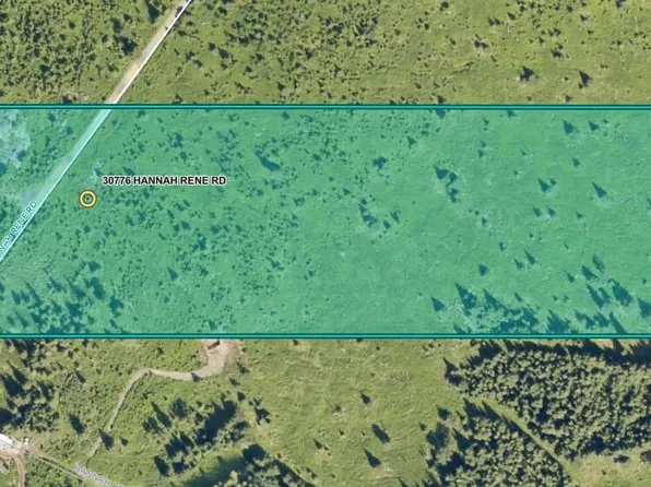 30776 Hannah Rene Rd, Anchor Point, AK 99556