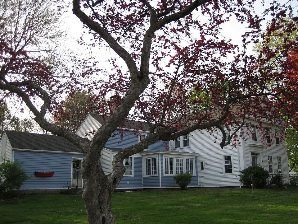 House being painted colonial blue....
