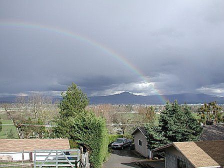 You can see house and garden shed.