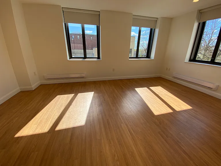 Red Oak at 875 Elm Street — Photo 34