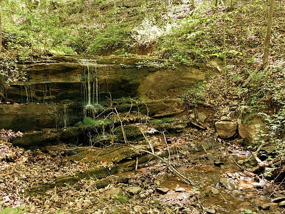 4th image of 3617 Pea Ridge Rd