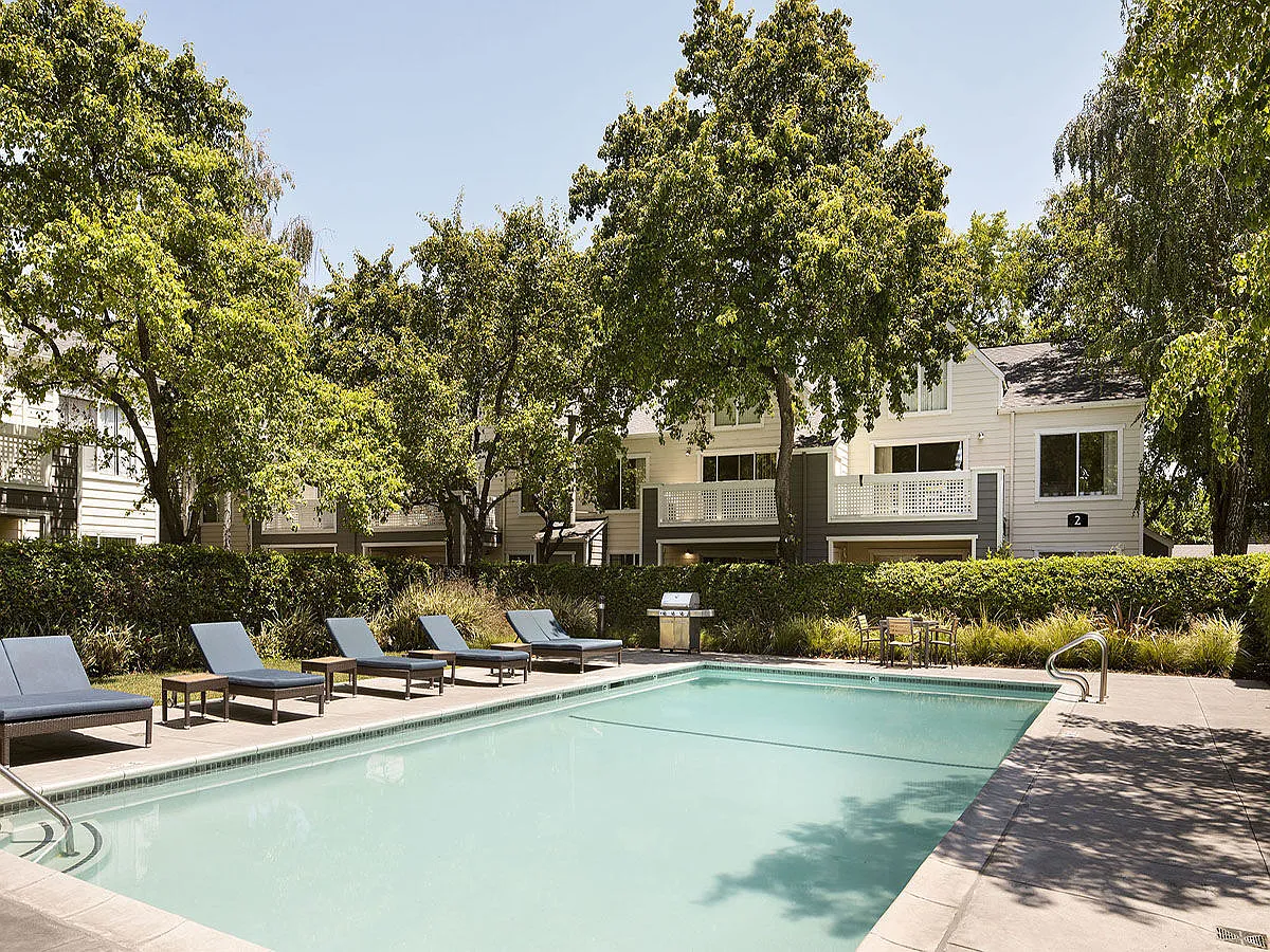 Timberleaf — Photo 2