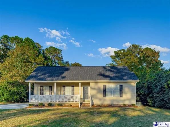 909 Wood Branch Rd, Effingham, SC 29541