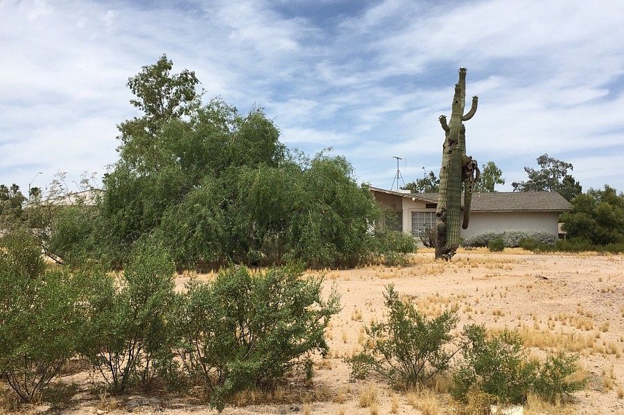 1st image of 7102 E Paradise Dr
