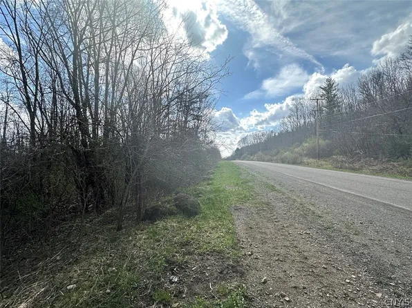 Pigtail Rd, Friendship, NY 14739