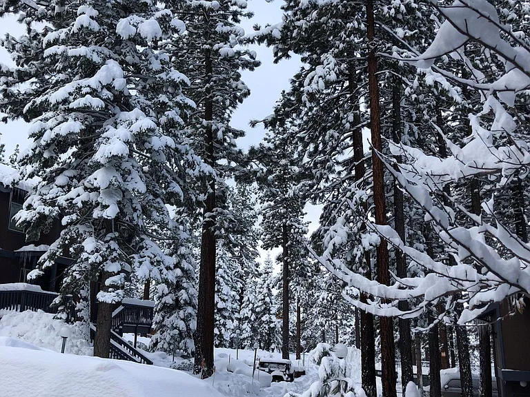 1410 Ski Run Blvd — Photo 19