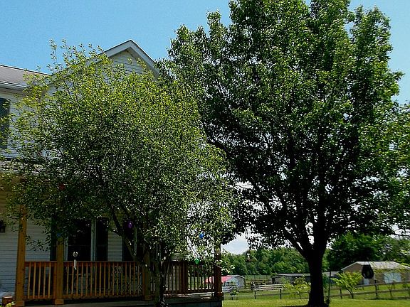 4th image of 719 Township Road 101