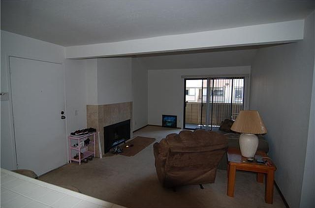 Living Room/Fireplace/Patio