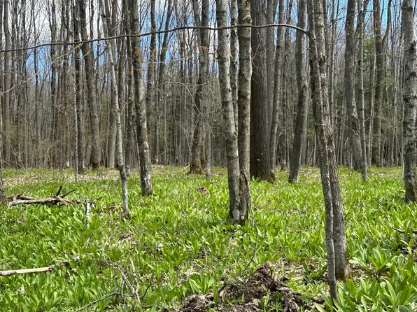 LOT 3 E Shore Rd, Marenisco, MI 49947