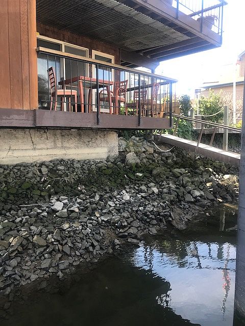 From dock at low tide