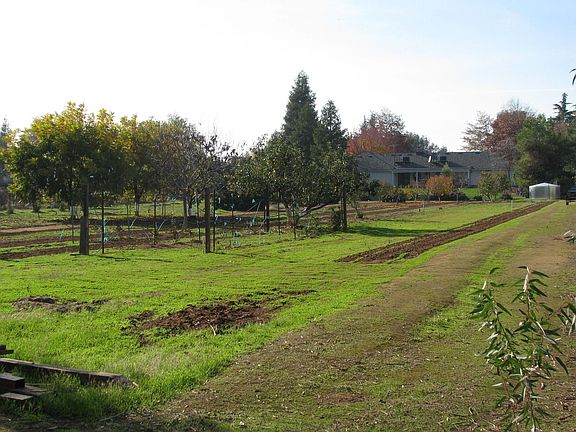 Back corner toward house