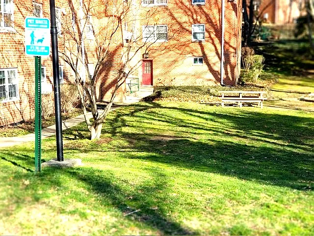 1 bed, 618 sqft, $1,600 — Photo 3