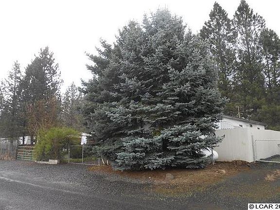 NATURAL PRIVACY FENCE