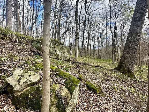 3rd image of Little Kyger Rd