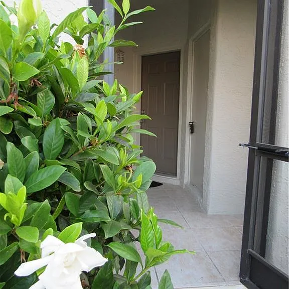 3323 Olympic Dr #716 — Photo 4