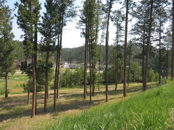 LOT 7 Other, Hill City, SD 57745