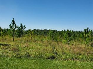 18121 Bethlehem Rd, Lithia, FL 33547