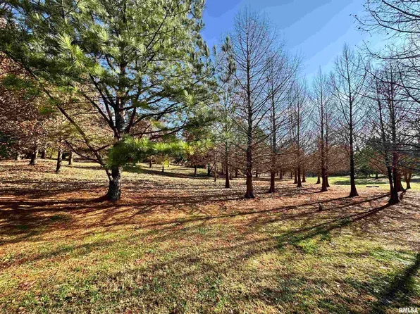 0 County Road 1025 Rd E, Cisne, IL 62823