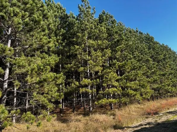 Emerald Ct NE, Carlos, MN 56319