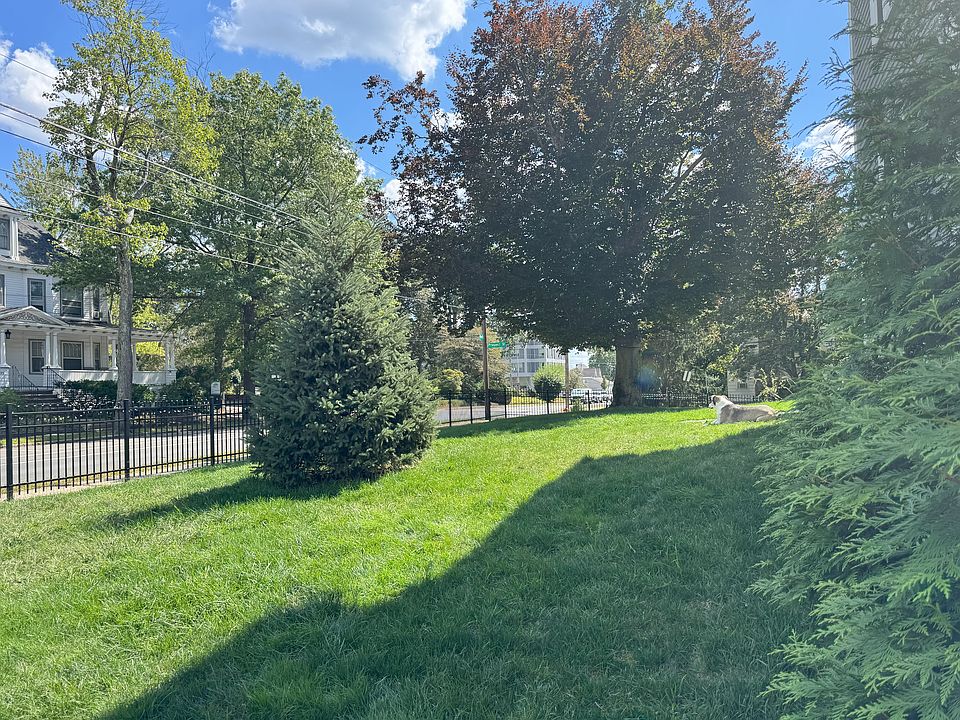 Large fenced green yard