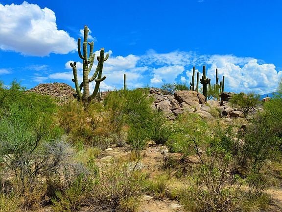 3rd image of 14442 N Giant Saguaro Pl