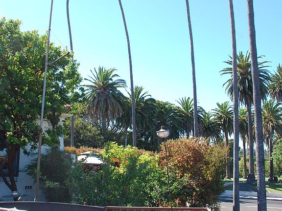 Terrace View to the park beyond