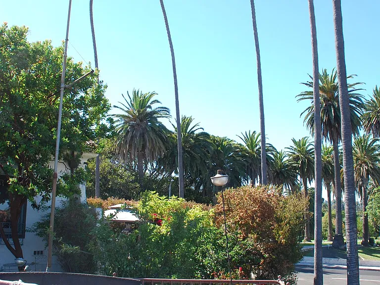 Terrace View to the park beyond