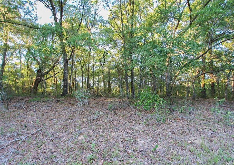 1st image of 10858 N Orva Dr