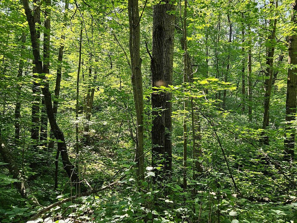 2nd image of LOT 40 Summit Ridge Dr