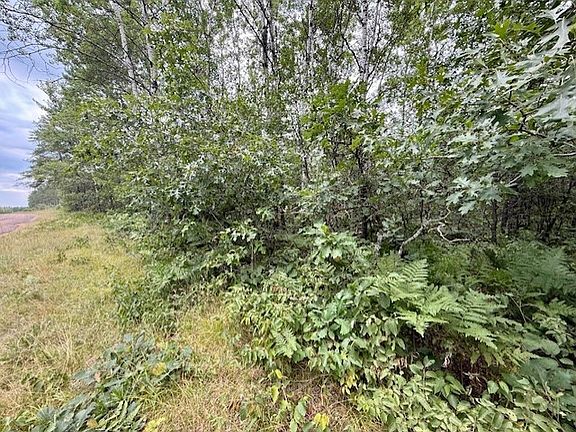 2nd image of Lot 13 E Idlewild Lake Road