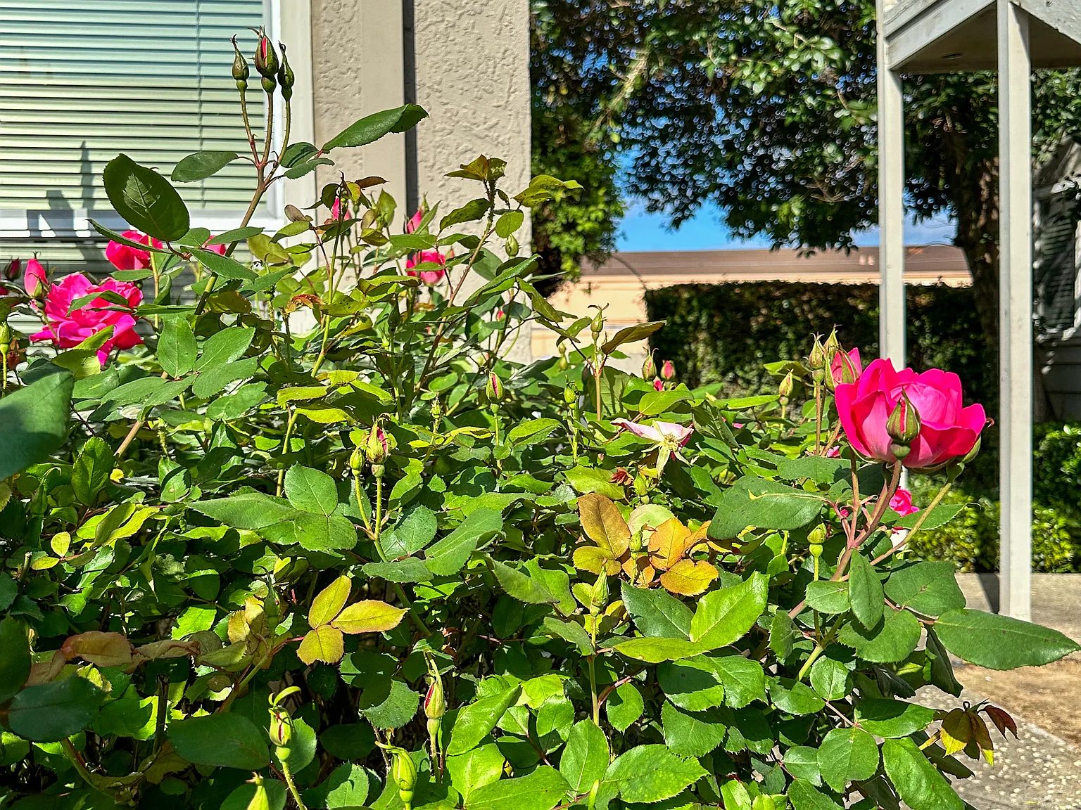 Garden Glen Apartments — Photo 4