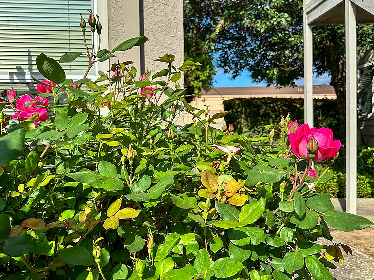 Garden Glen Apartments — Photo 4