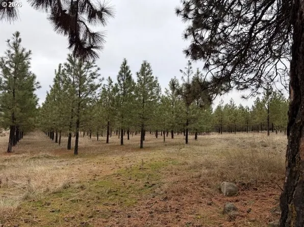 Garrison Rd #1, Goldendale, WA 98620