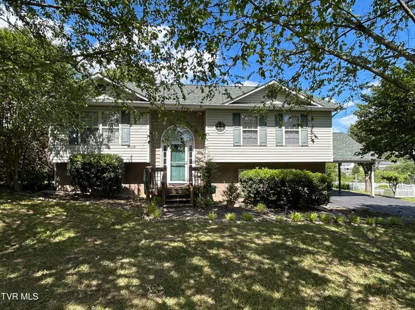 115 Butterfly Ct, Limestone, TN 37681