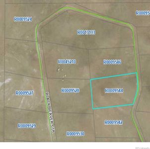758 Black Beaver Circle, Hartsel, CO, 80449
