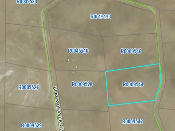 758 Black Beaver Circle, Hartsel, CO 80449