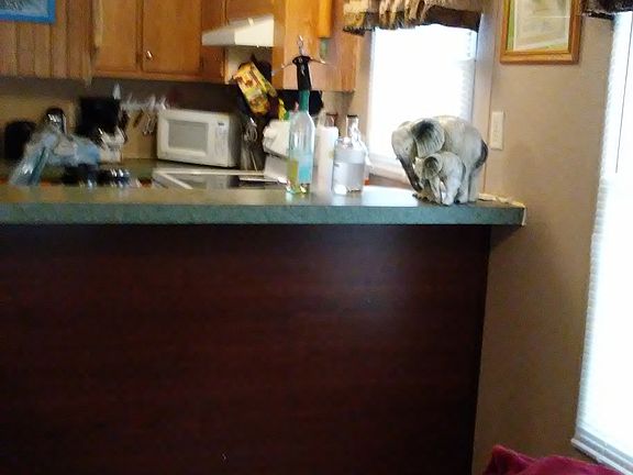 5th image of 2219 Colonial Dr