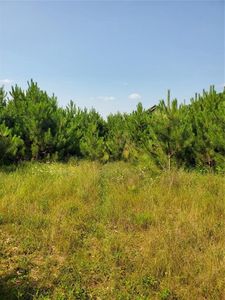 0 275th Avenue, Holcombe, WI, 54745