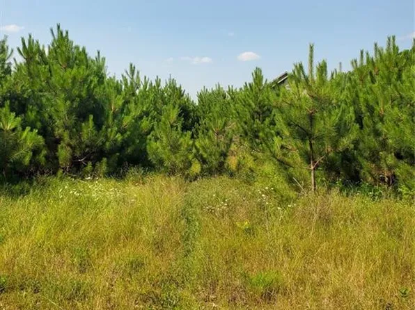 0 275th Avenue, Holcombe, WI 54745