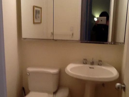 Rented by Susan D. Fine | media 39