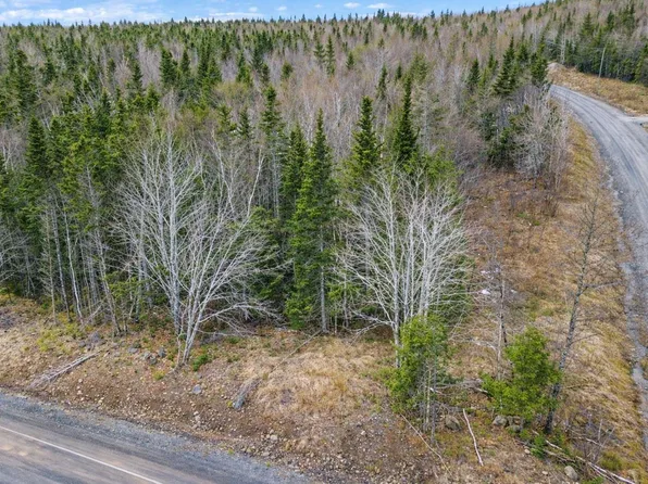 LOT 23 Lower River Rd, Richmond, NS B0E 1J0