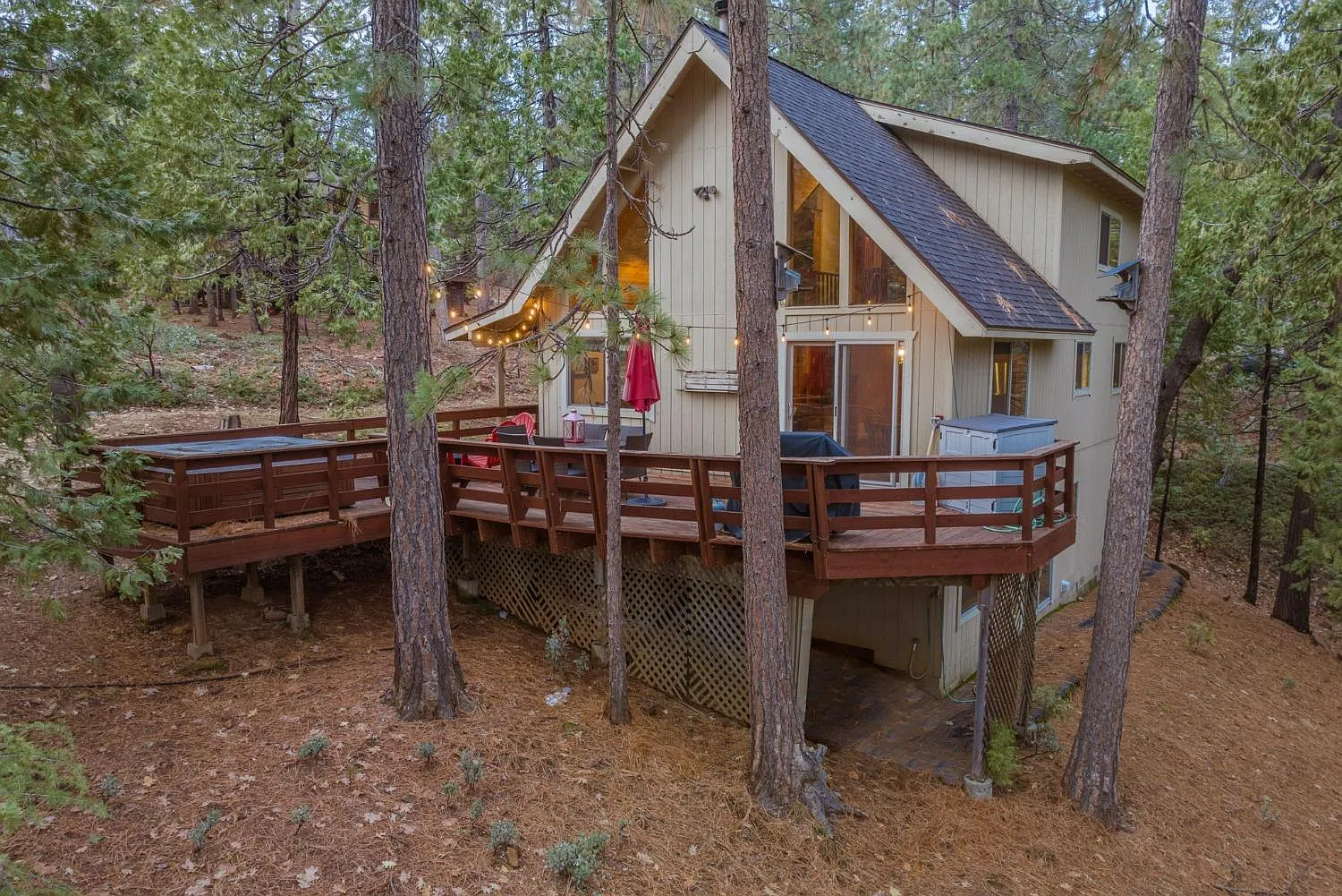 2245 Patricia Ln photo 1