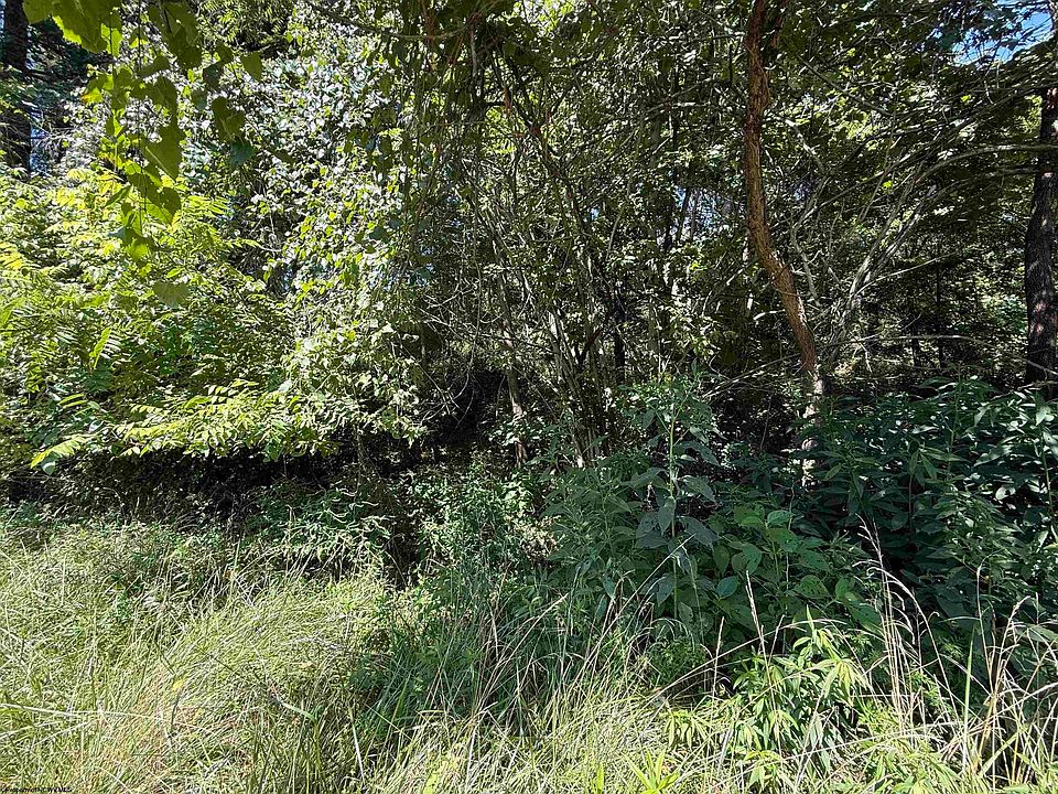 1st image of Simpson Rd