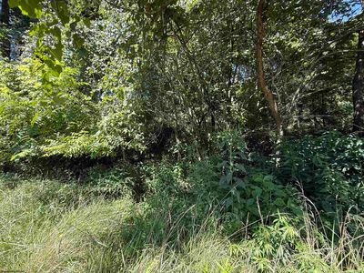 Simpson Rd, Flemington, WV, 26347