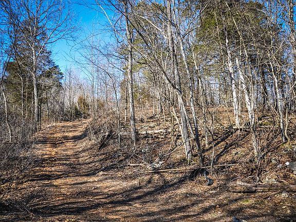 4th image of 29216 Farm Road 1050