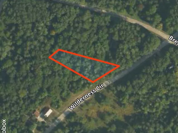 134 Wilderness Dr, Mancelona, MI 49659