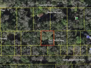 9285 E Tin Pan Aly LOT 4900, Inverness, FL 34453