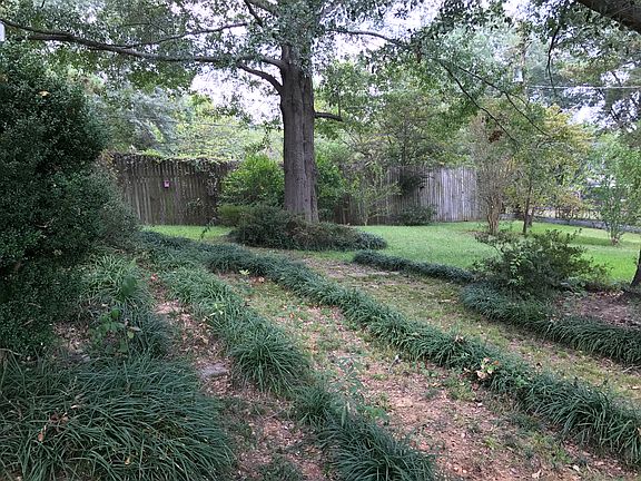 Fenced Backyard